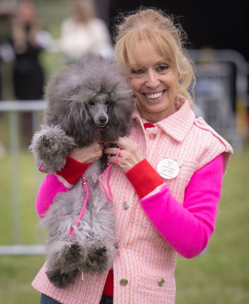 CH. Vip love glow The beautiful grey of marysa